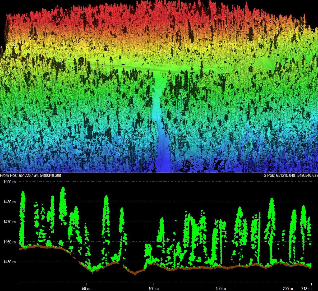 Colourized LiDAR point cloud showing forest canopy and bare-earth terrain profile