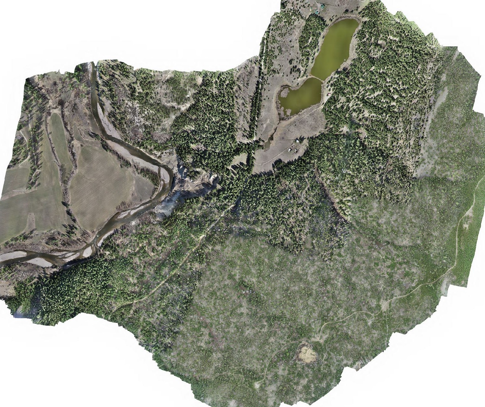 Georeferenced orthophoto mosaic of a river valley and forested terrain in British Columbia